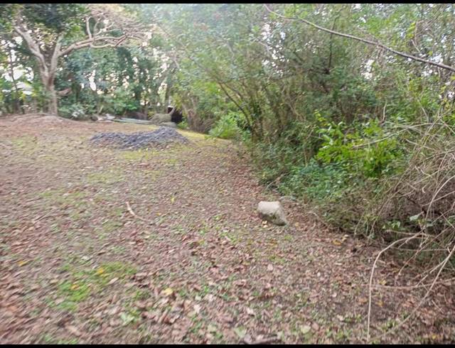 FARM FOR SALE IN RAMSGATE